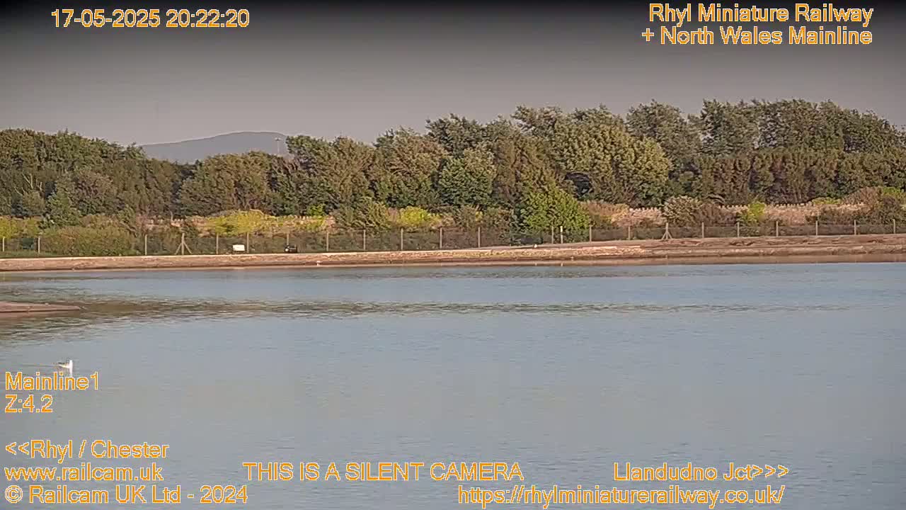 A calm body of water sits before a line of trees under a dusky sky.