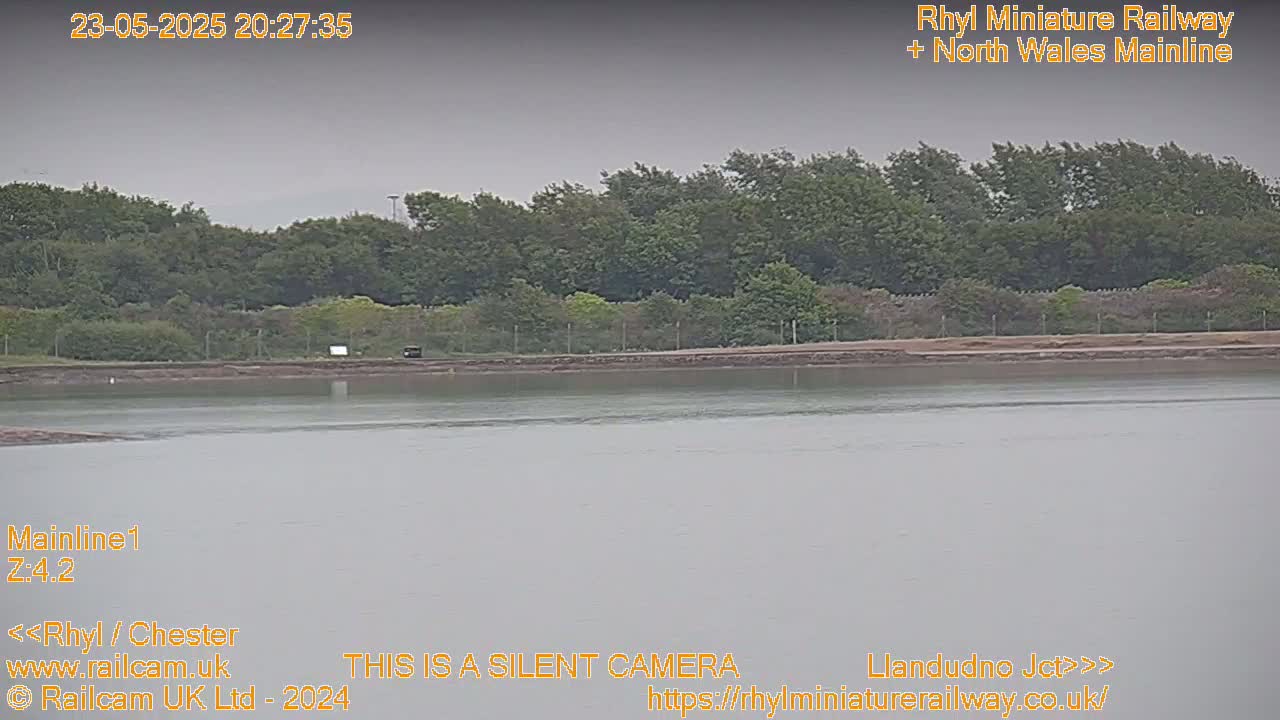A body of calm, grey water sits in front of a line of green trees under an overcast sky.