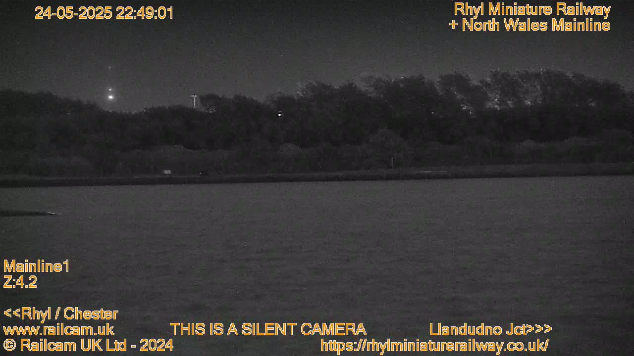 A nighttime, low-light view of a dark body of water with a treeline in the background.