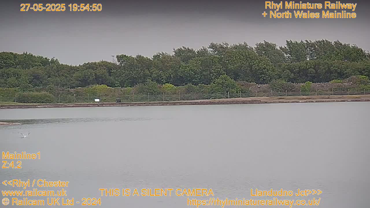 A body of still water lies before a line of trees under an overcast sky.