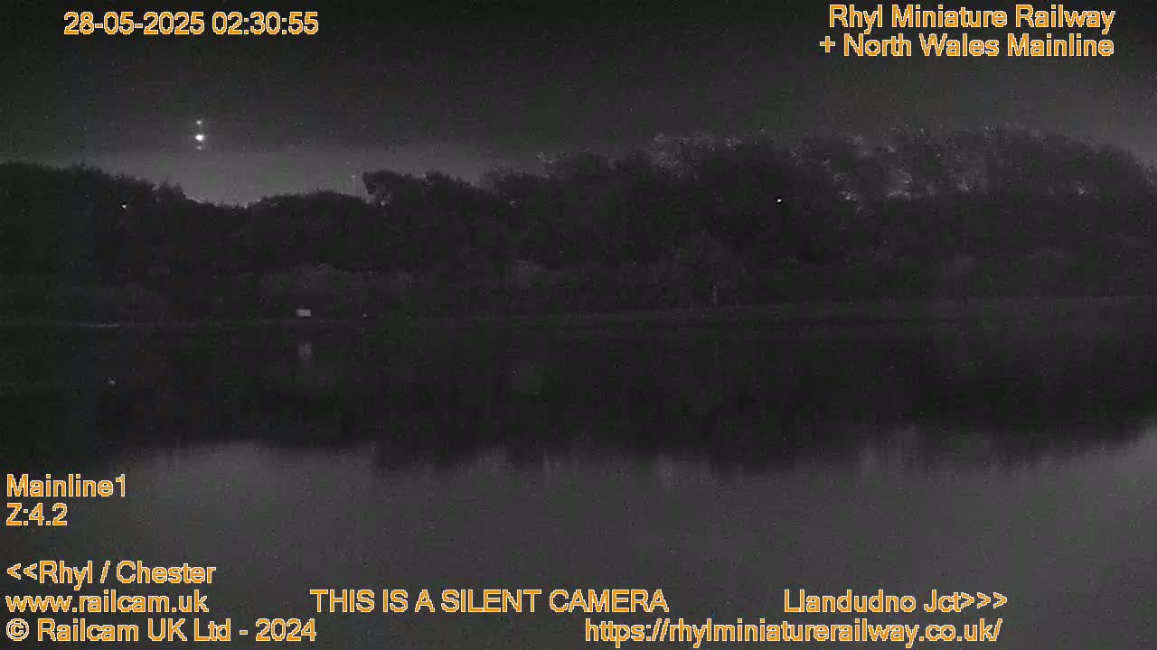 A nighttime, low-light view of a dark body of water with a treeline in the background under a clear sky showing a few bright lights.