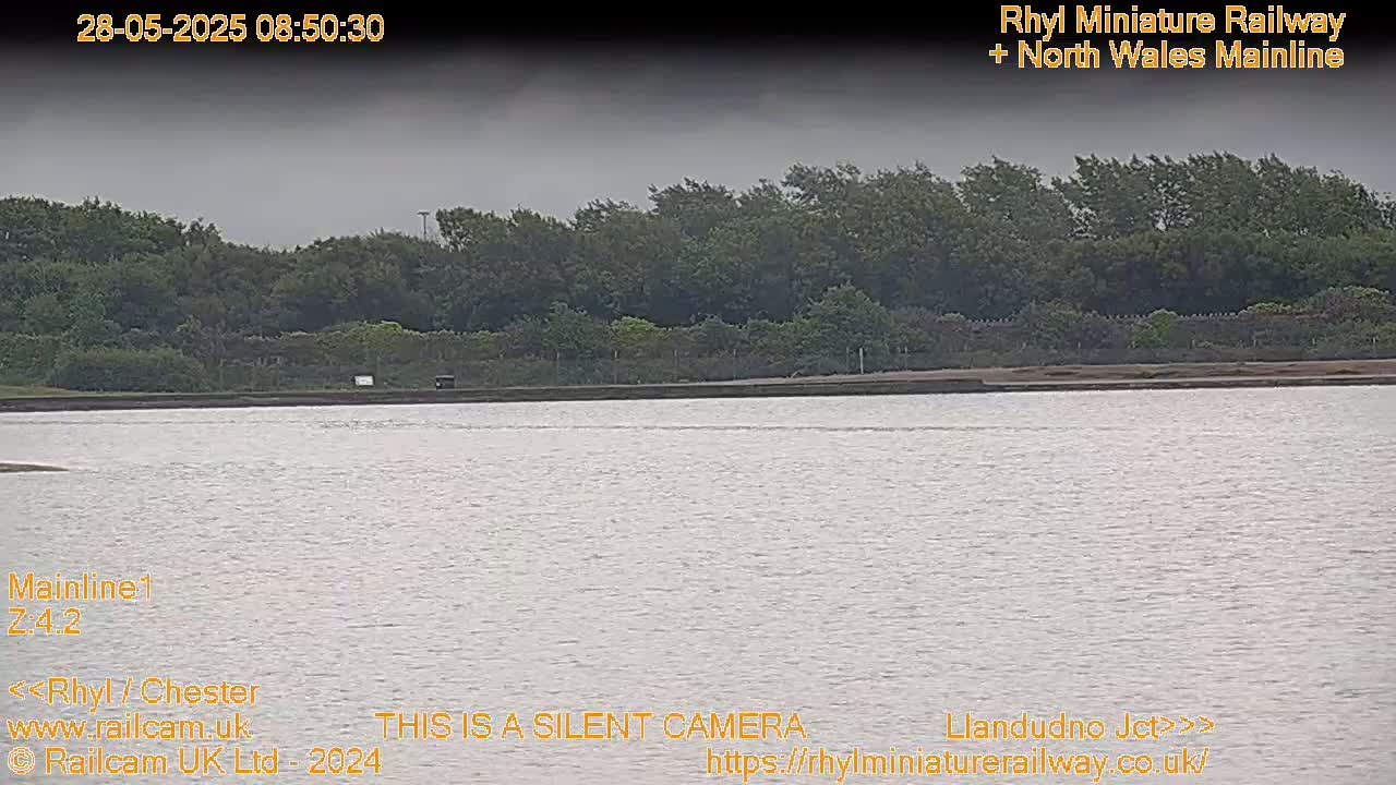 A body of water stretches out under an overcast sky, with a line of trees visible in the distance.