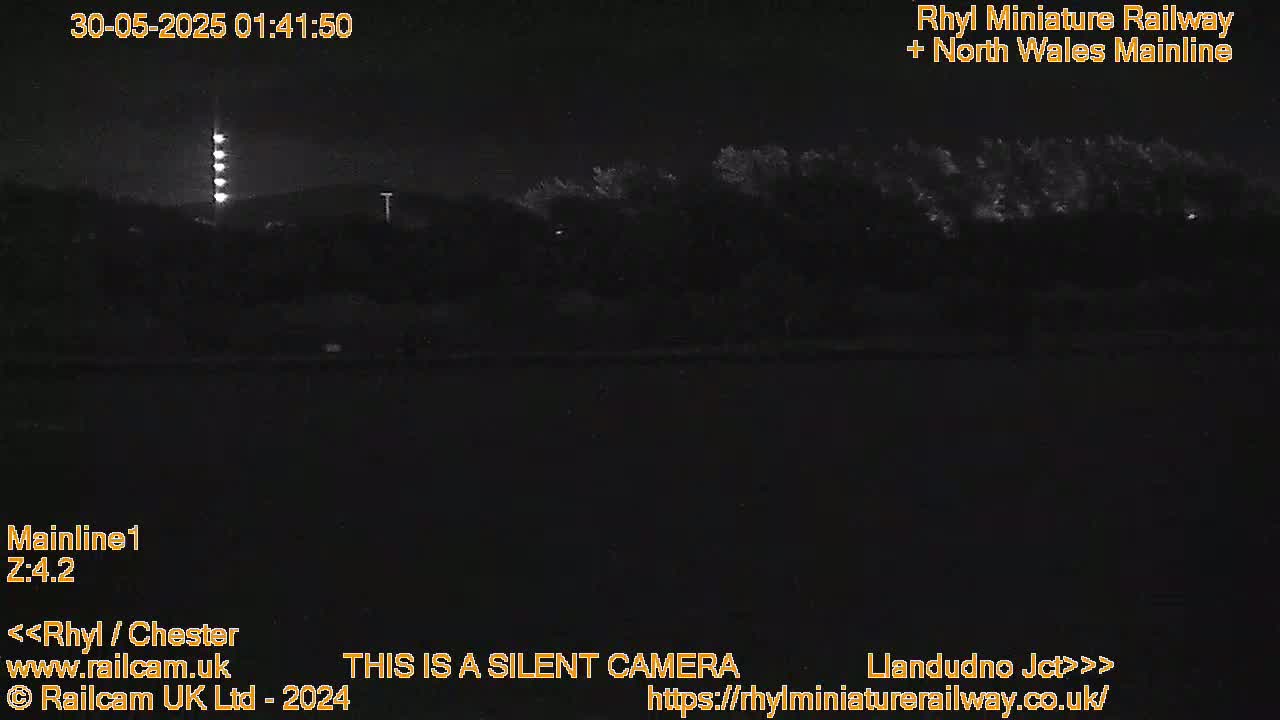 A nighttime, low-light view of dark trees and land, illuminated only by a distant light source.