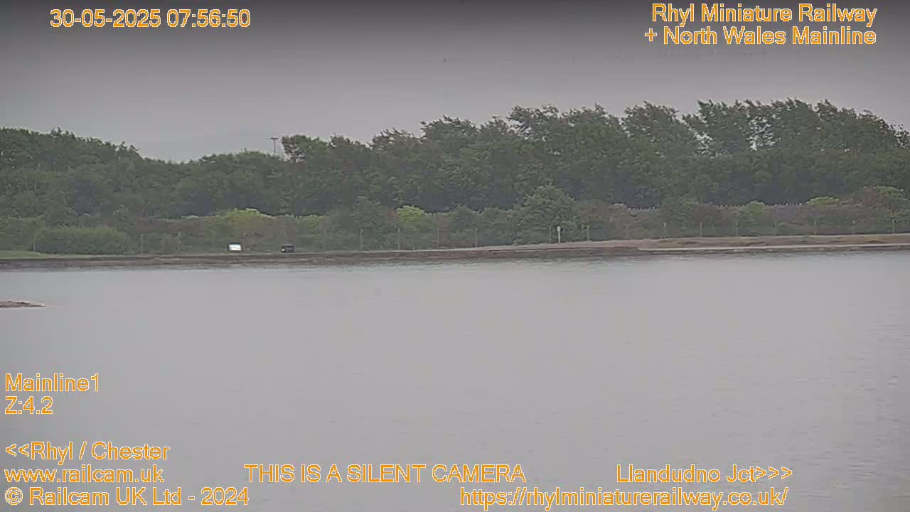 A calm body of water lies before a line of dark green trees under an overcast sky.