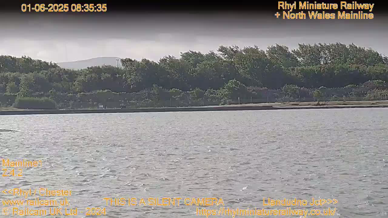 A body of water with slightly choppy surface shows a line of trees and a distant hill under an overcast sky.