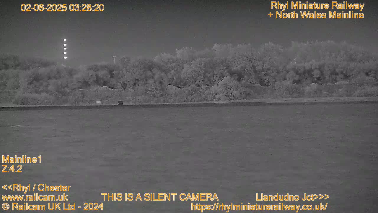 A nighttime, infrared image shows a dark body of water in front of a treeline under a dark sky with a distant light source.