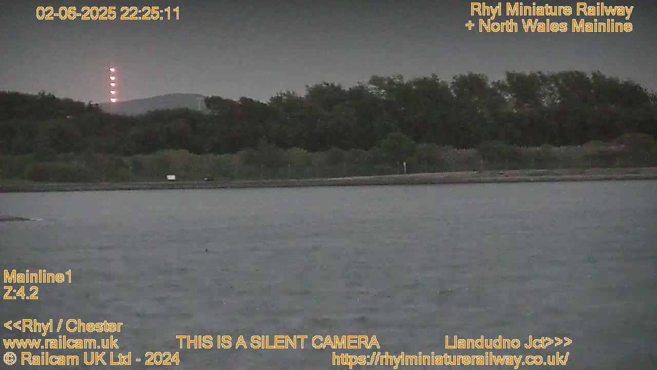 A dark body of water is shown under a gray, overcast sky with a line of trees and a tall structure with lights visible in the distance.
