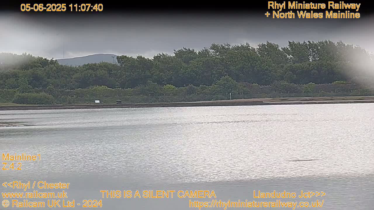 A body of relatively calm water lies before a line of trees under an overcast sky.