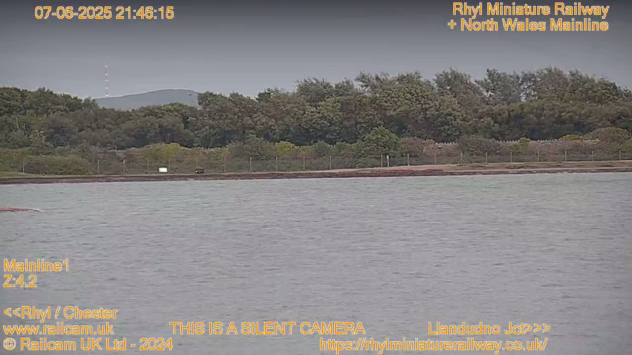 A body of calm, gray water stretches out before a line of trees and a low hill under an overcast sky.