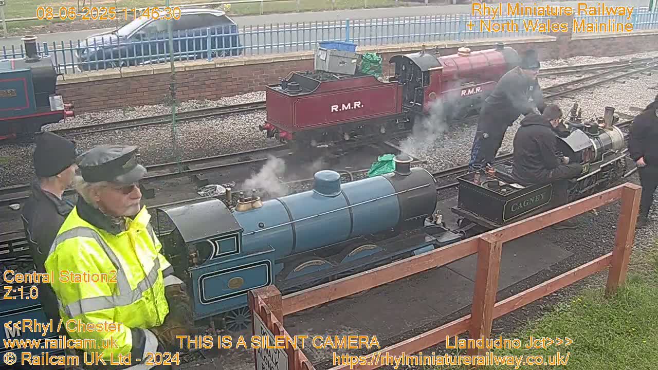 Several miniature steam trains are on a railway track, with people standing near them, on an overcast day.