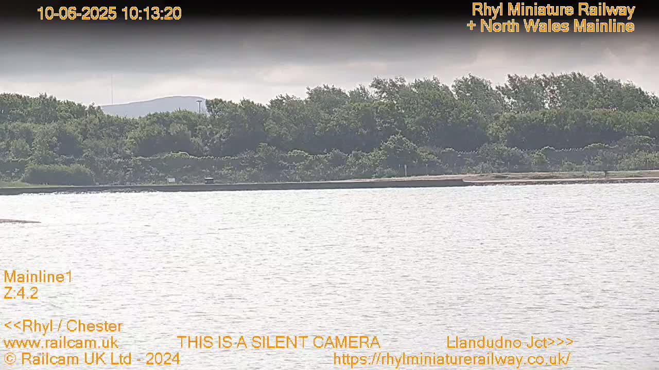 A body of calm water stretches out before a line of green trees and a distant hill under an overcast sky.