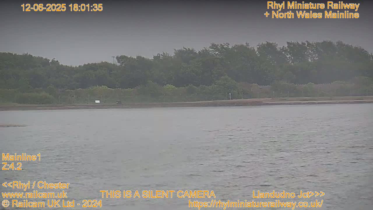 A body of still, gray water sits in front of a line of dark green trees under an overcast sky.