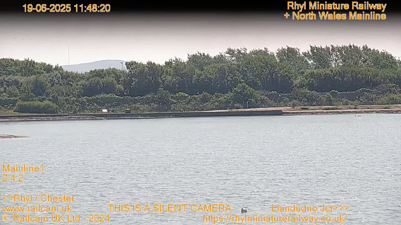 A calm body of water sits in front of a line of green trees under a hazy sky.