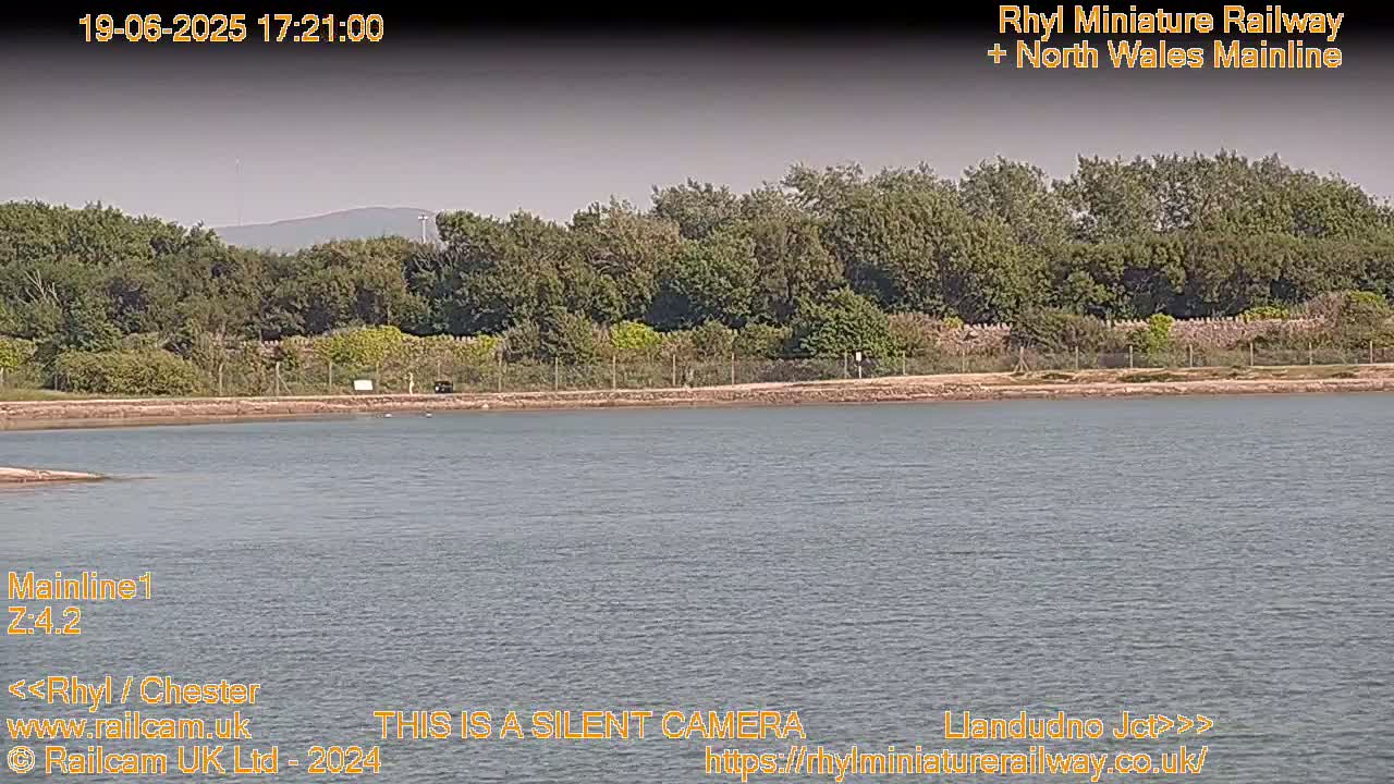 A calm body of water stretches before a line of lush green trees and shrubs under a hazy sky.