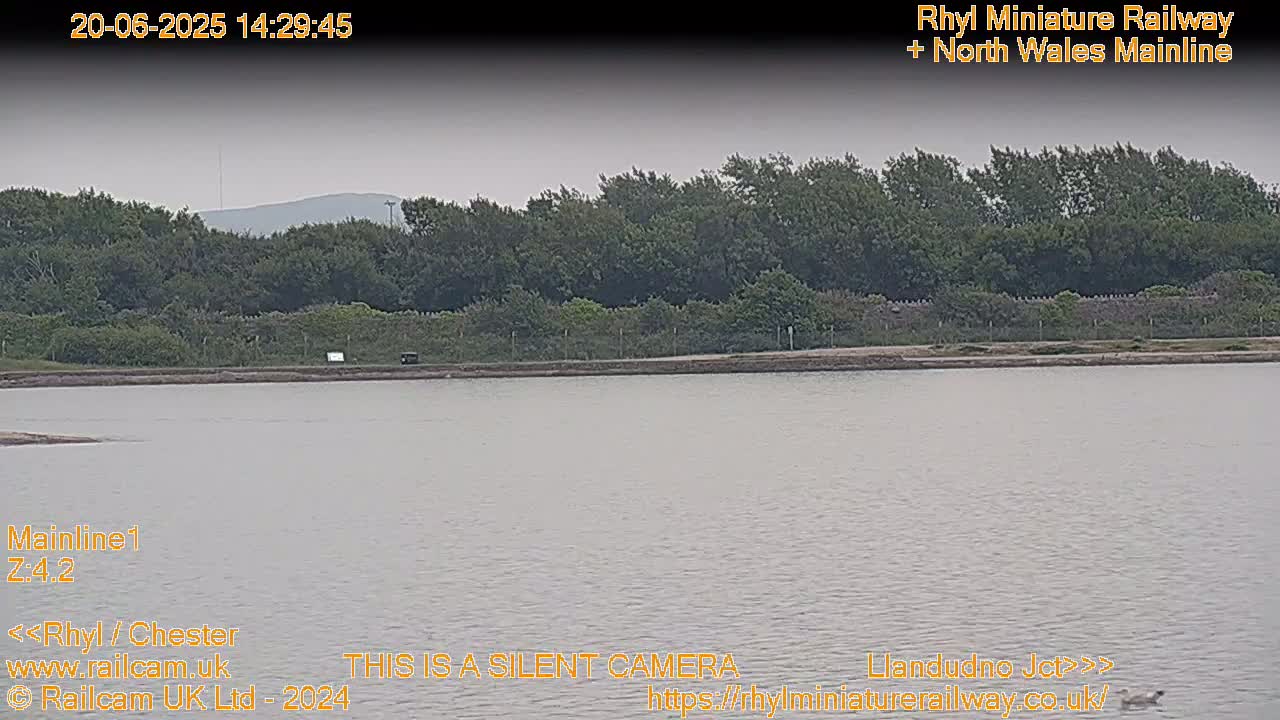 A calm body of water sits in front of a line of trees under an overcast sky.