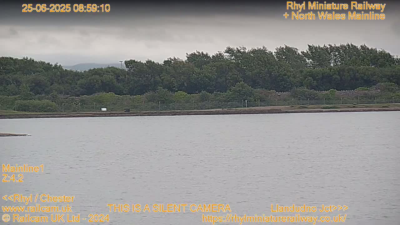 A body of calm, gray water sits before a line of dark green trees under an overcast sky.
