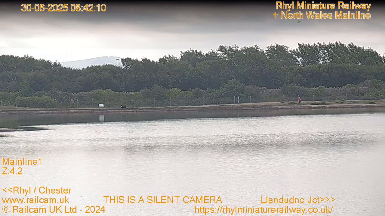 A calm body of water sits before a line of trees under an overcast sky.
