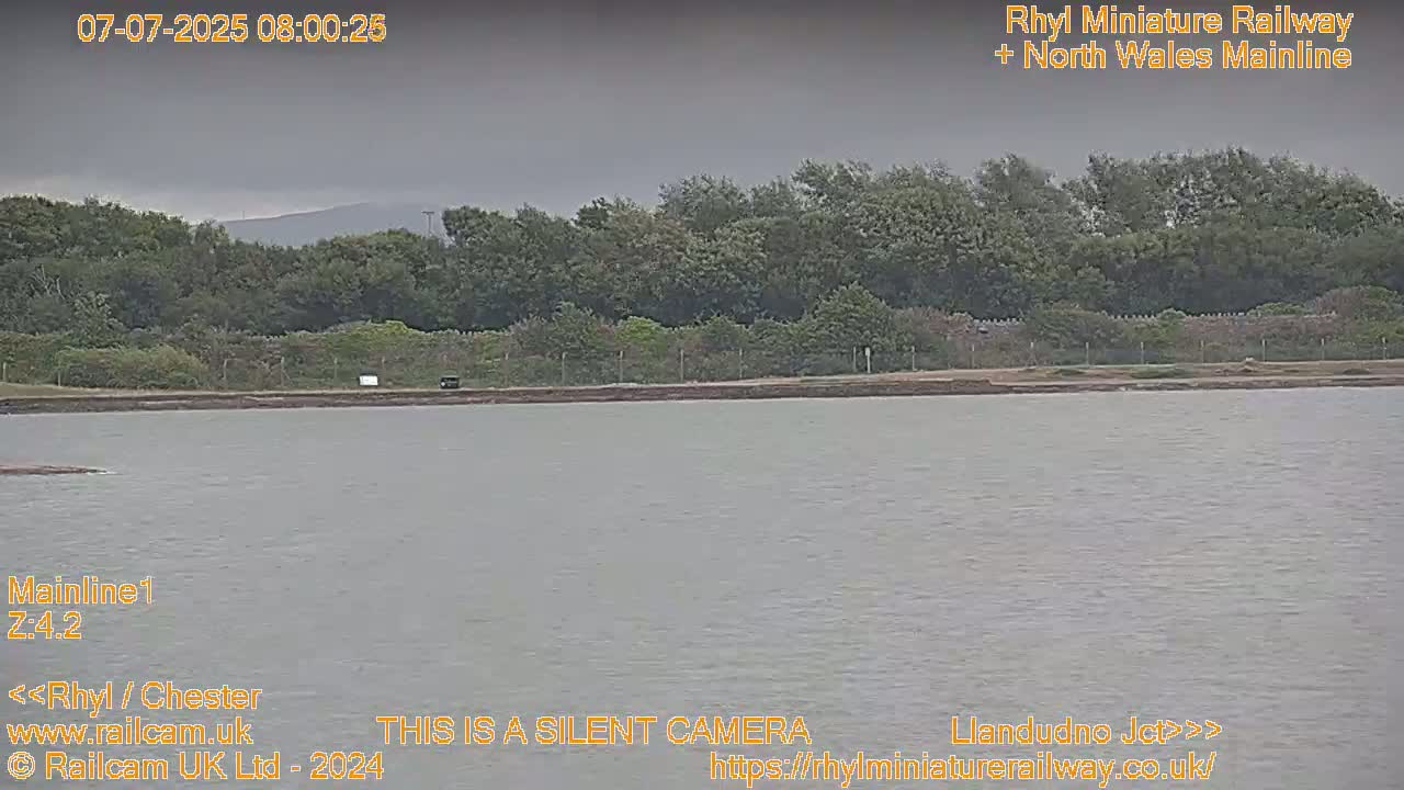 A body of calm, gray water lies before a line of dark green trees under an overcast sky.