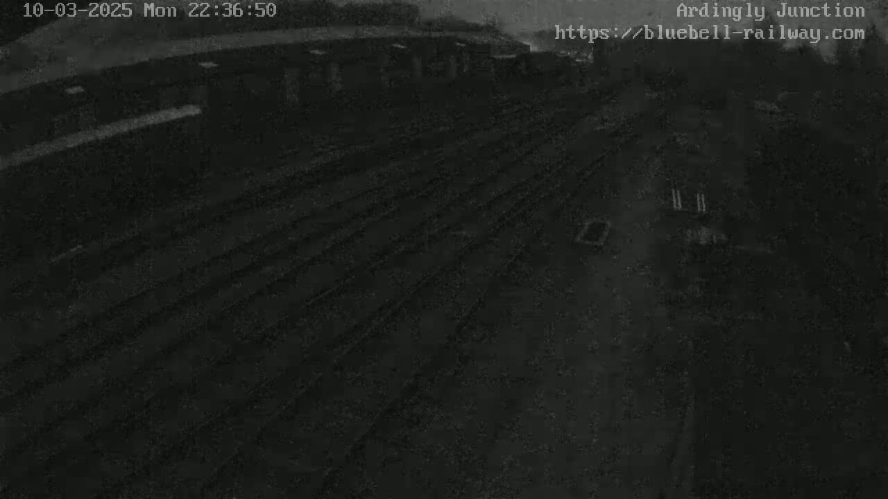 A nighttime, low-light view of a train yard with several parallel sets of tracks.