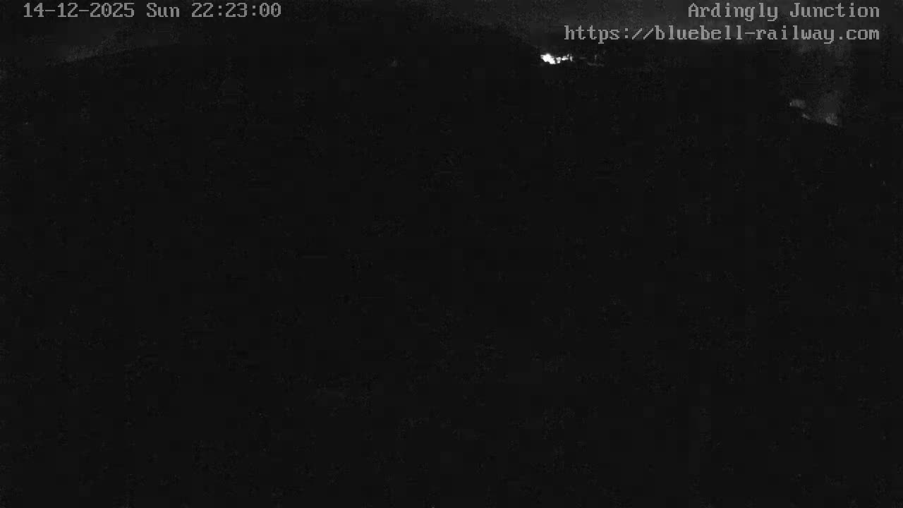 A steam locomotive is stopped at a sunny railway station platform with a red building to the left, green trees in the background, and a clear blue sky overhead.