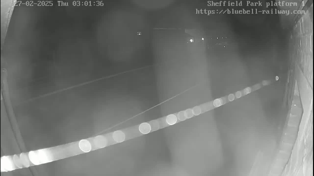 A nighttime, low-light view of a dark, possibly paved area, showing a long streak of light possibly from headlights and some indistinct shapes in the distance.