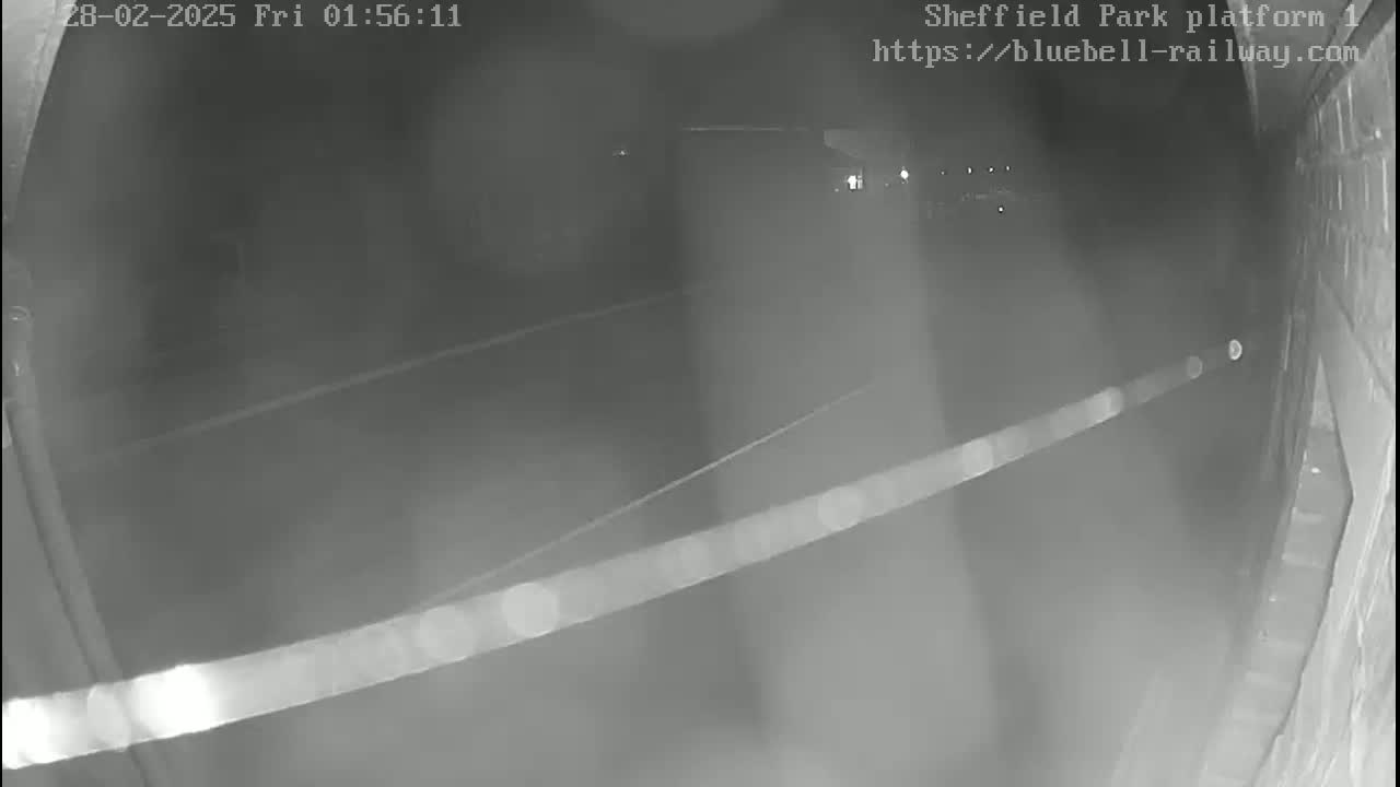 A nighttime, low-light security camera view shows a dimly lit area with a long, thin object extending diagonally across the frame.