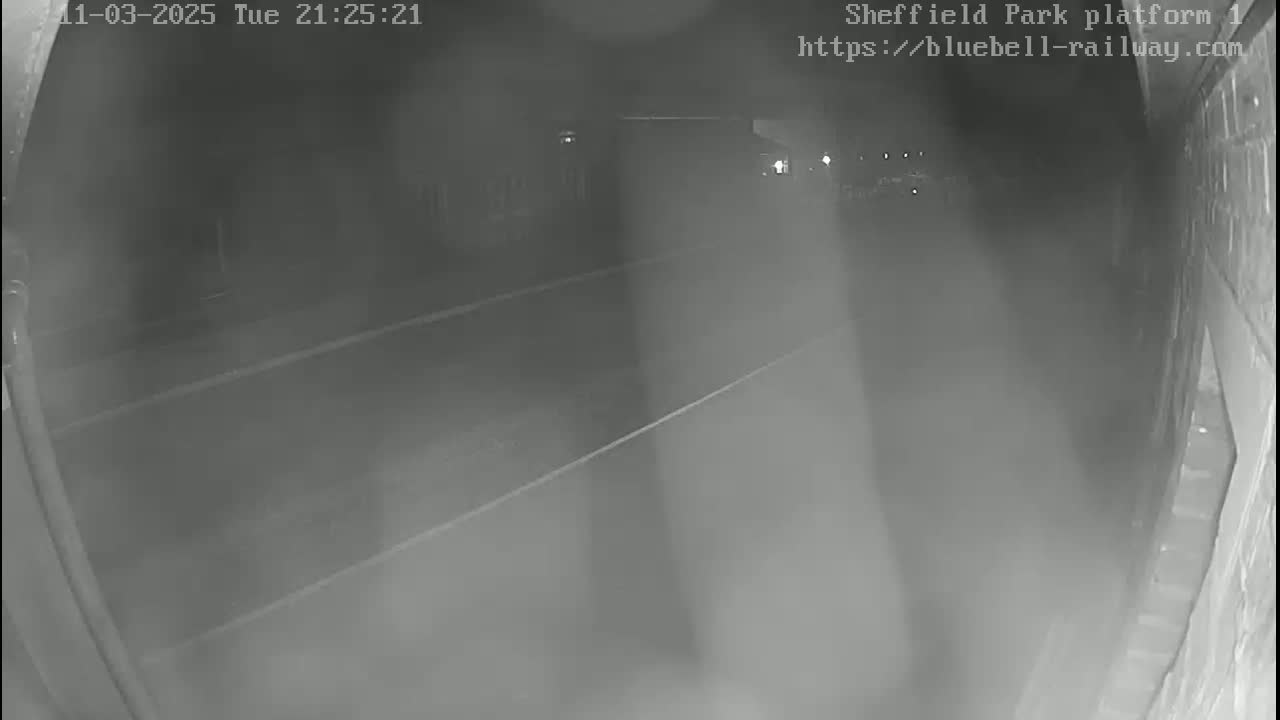 A nighttime, low-visibility view shows a dark platform area with faint parallel lines on the ground.