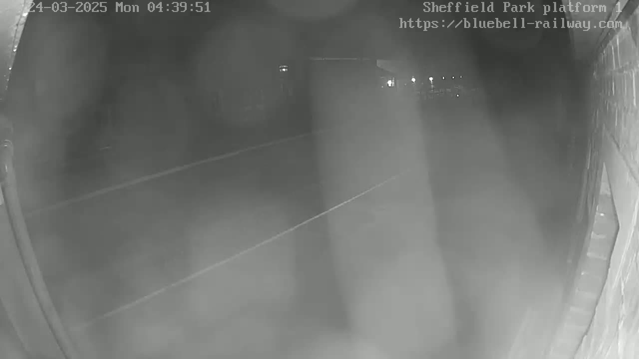A nighttime, low-visibility view of train tracks extending into a dimly lit area.