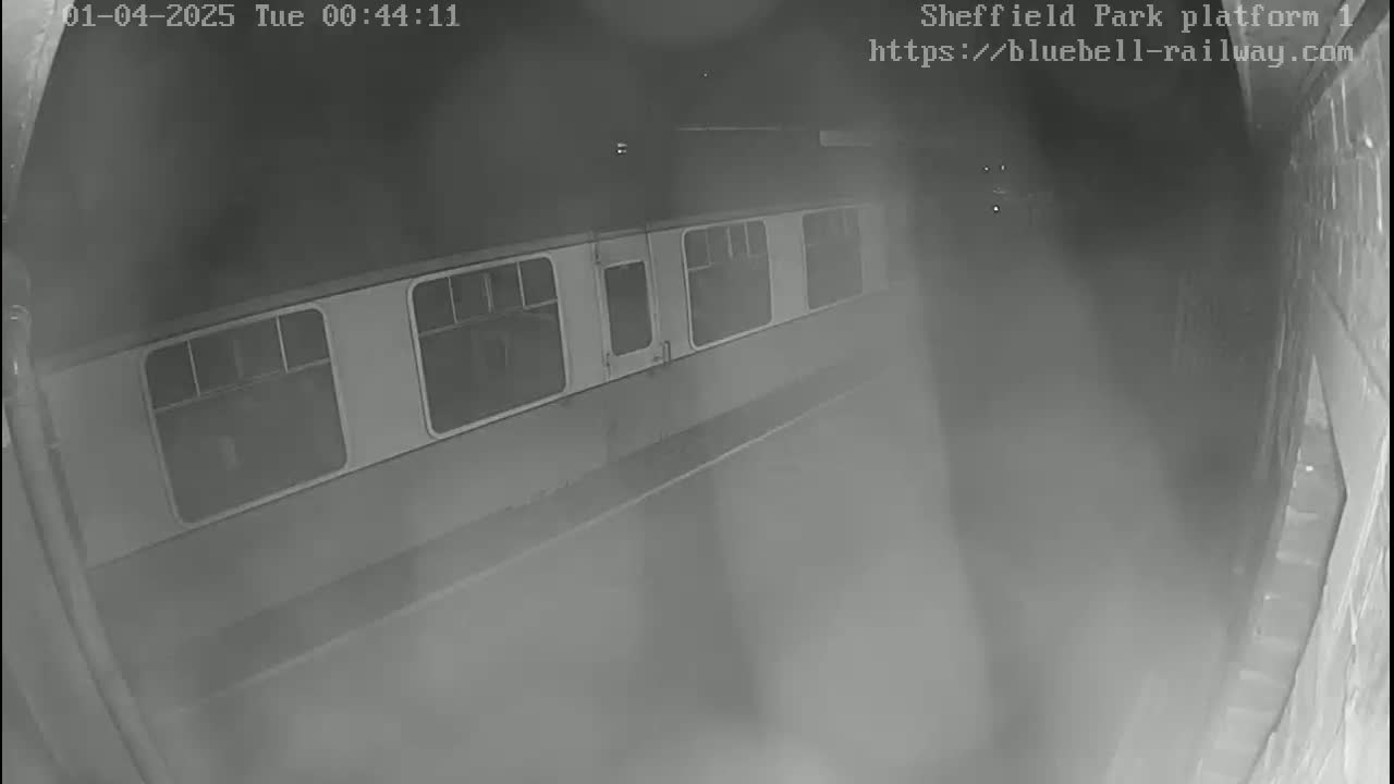 A train car is visible at night on a dimly lit platform.