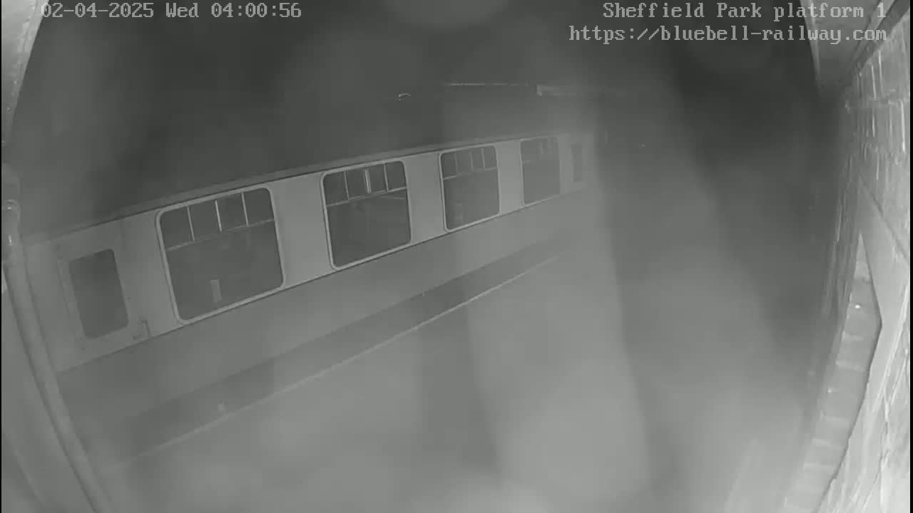 A train car is visible at night on a foggy platform.