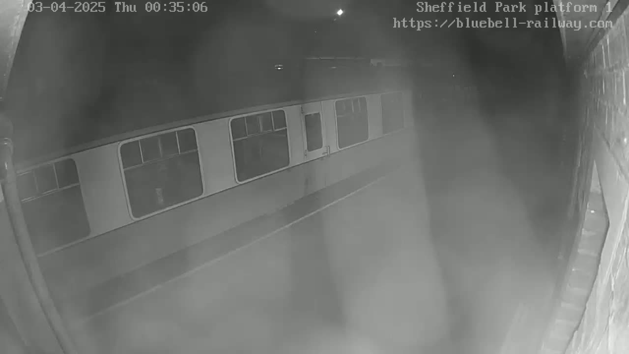 A train car is visible at night on a dimly lit platform.