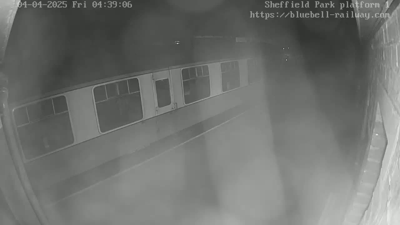 A train car is visible at night in foggy conditions on a platform.