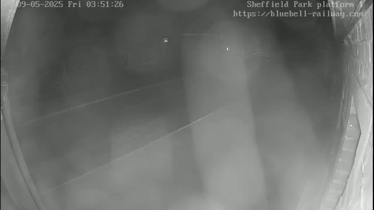 A nighttime, low-visibility view of a dimly lit platform area shows a dark roadway and some indistinct structures.