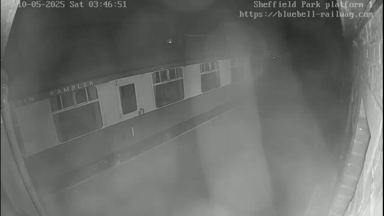 A train car labeled "Rambler" is visible at night on a dimly lit platform.
