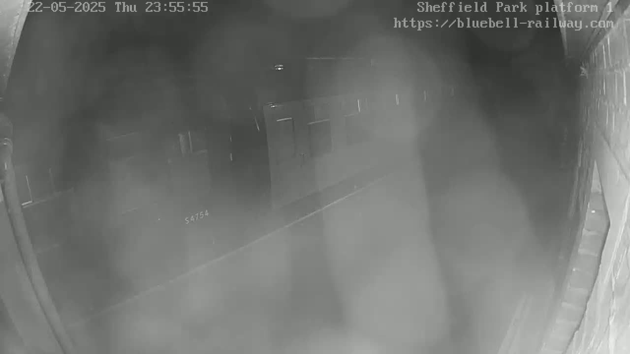 A nighttime, low-visibility security camera view shows a train car on a platform.