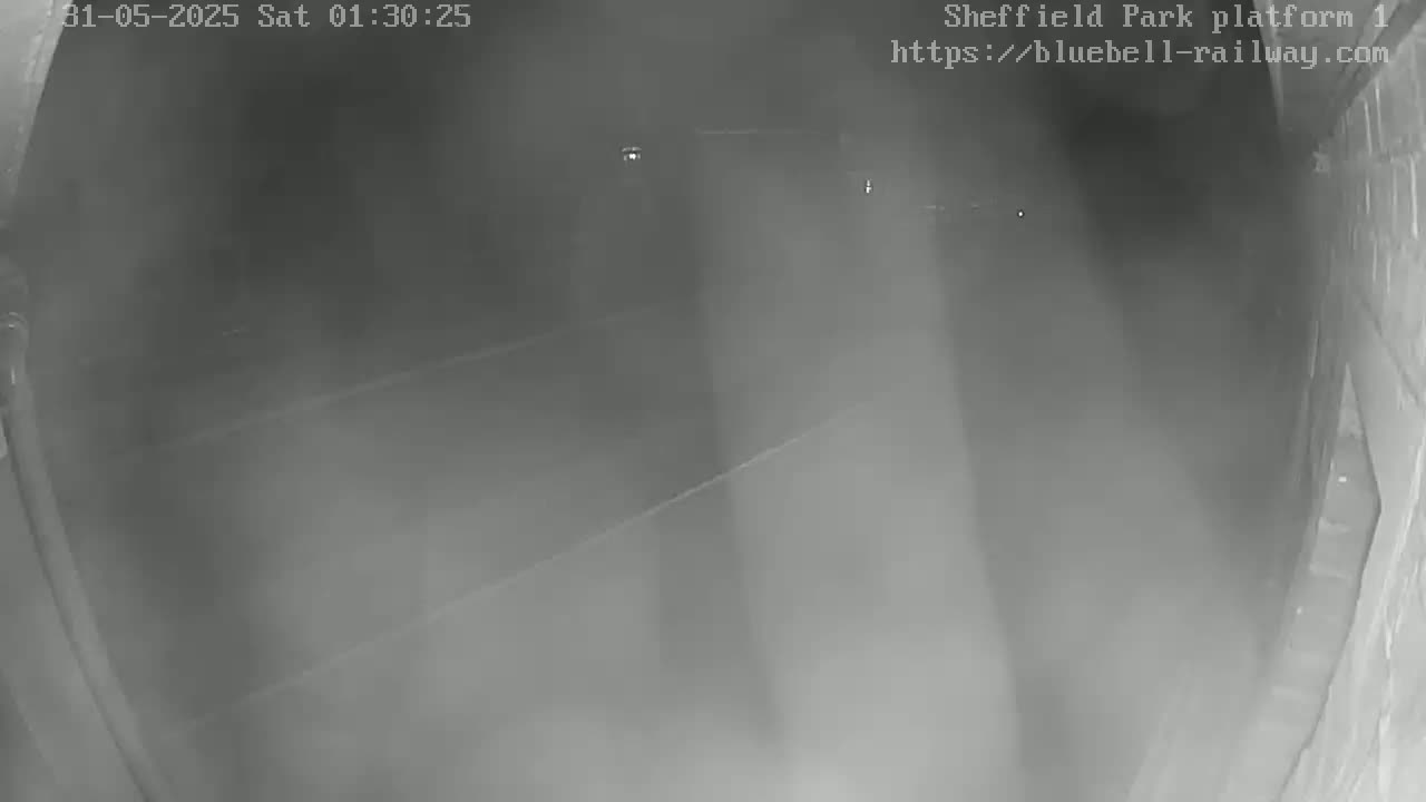 A nighttime, low-light view from a security camera shows an empty platform and tracks at a train station.