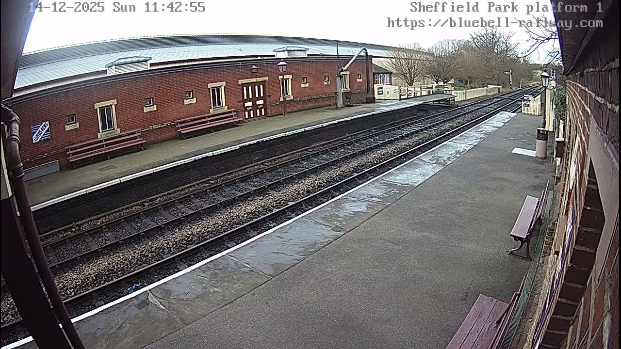 A dark green train, adorned with zig-zag green lights, sits at an outdoor station platform under bright sunny skies, with a brick building and a bench visible to the right.