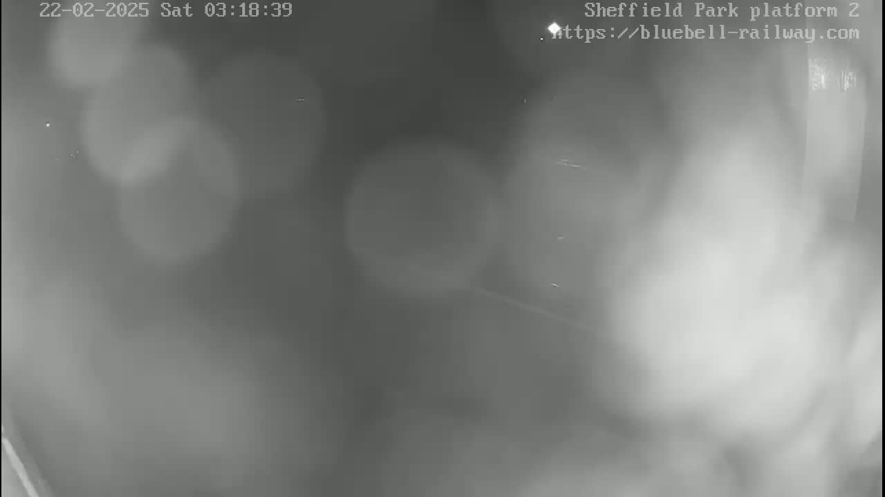 A blurry, low-light nighttime image shows an indistinct outdoor scene with fog or mist.