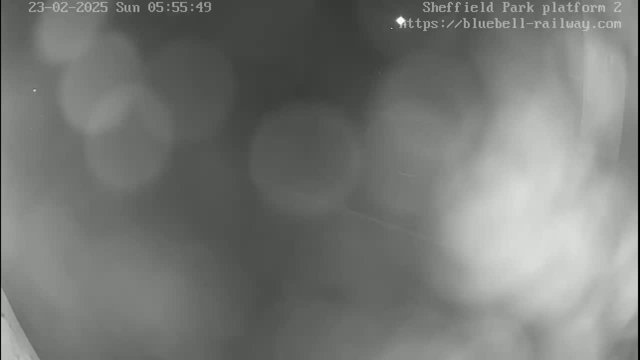 A blurry, grayscale image shows an outdoor scene at night, with poor visibility due to fog or mist.