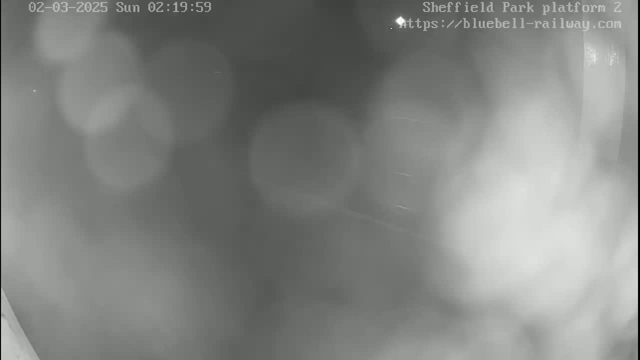 A blurry, grainy, nighttime image shows a dimly lit, possibly outdoor, area with indistinct shapes and hazy atmospheric conditions.