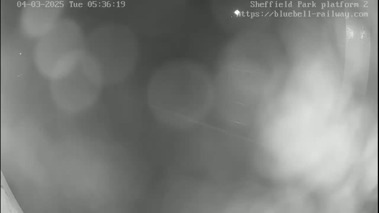 A blurry, low-light grayscale image shows a foggy or misty outdoor scene at night.