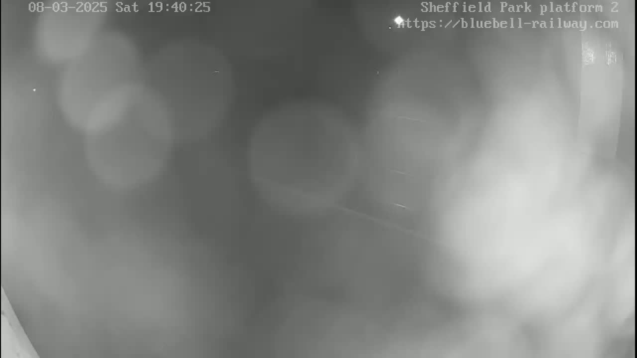 A blurry, nighttime grayscale image shows a foggy or misty outdoor scene at a train platform.