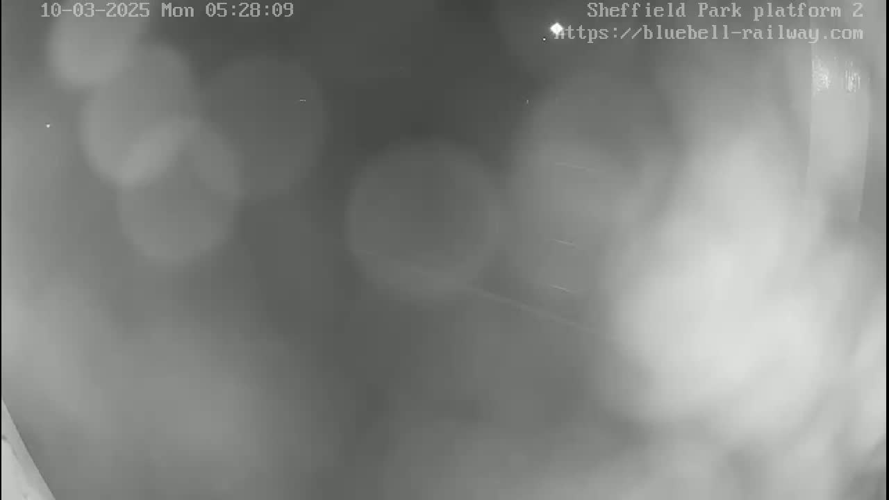 A blurry, grayscale nighttime image shows an outdoor scene obscured by fog or mist.