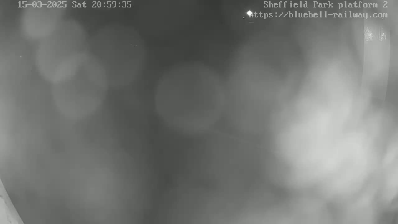 A blurry, grayscale image shows a nighttime scene obscured by fog or mist.