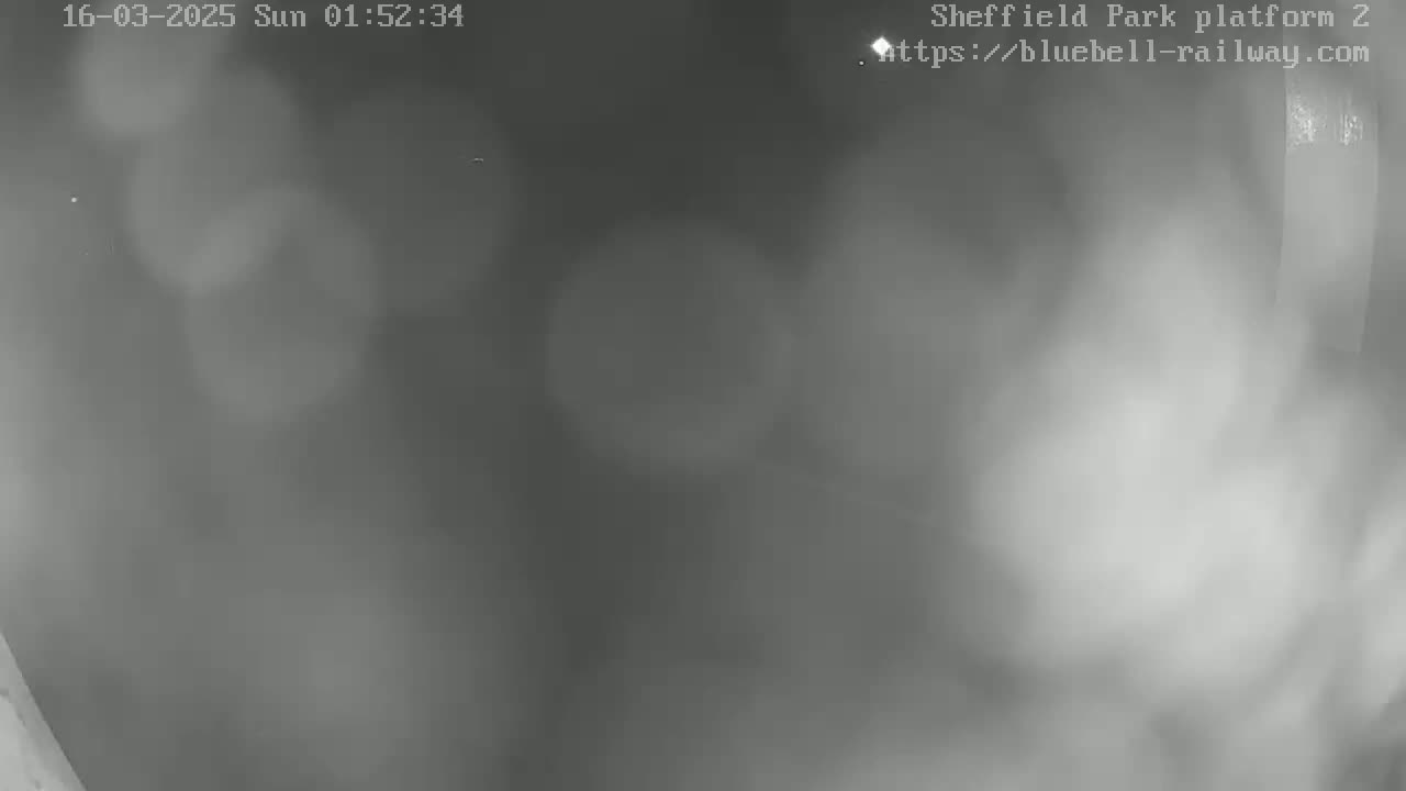 A blurry, low-light grayscale image shows a nighttime scene with heavy fog or mist.