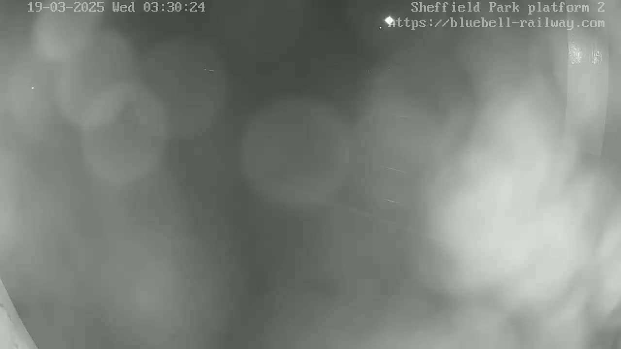 A blurry, low-light grayscale image shows a foggy or misty outdoor scene at night.
