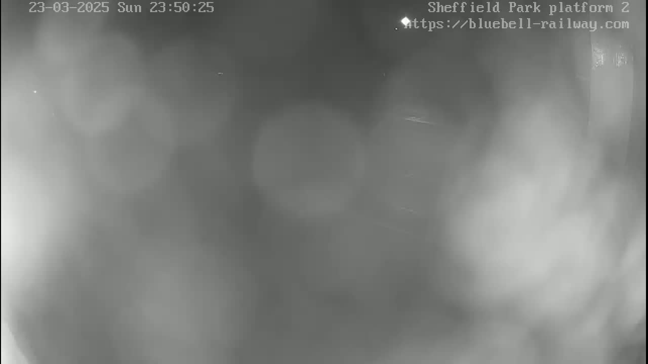 A blurry, low-light nighttime image shows a mostly indistinct scene, possibly outdoors, with a hazy or foggy atmosphere.
