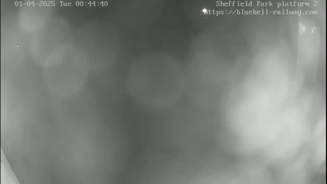 A blurry, grayscale image shows a dark, foggy, or smoky outdoor scene at night.