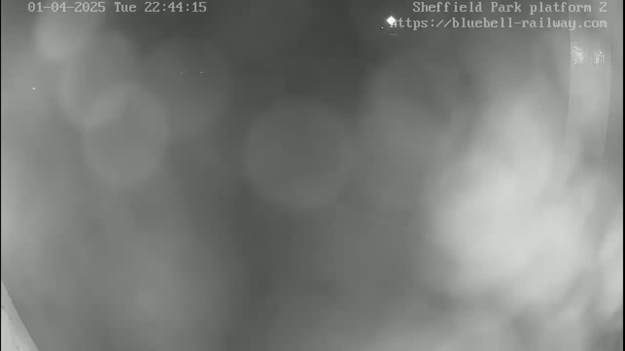 A blurry, low-light nighttime image shows a mostly featureless outdoor scene with hazy or foggy conditions.