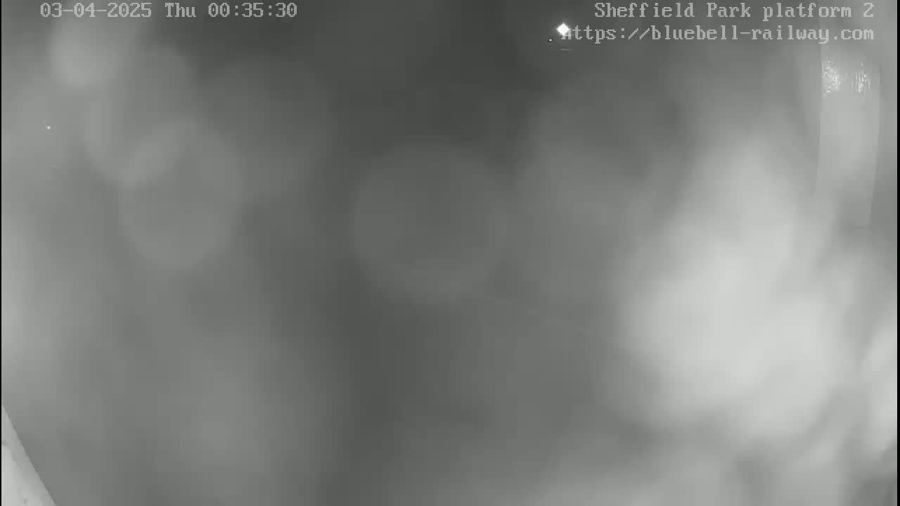 A blurry, grayscale image shows an outdoor scene at night with heavy fog or mist obscuring visibility.